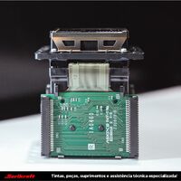 Cabeça de Impressão DX7 Gold Roland